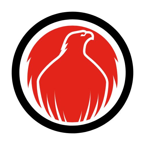 The Pheonix Logo - Rise, Recover, Live