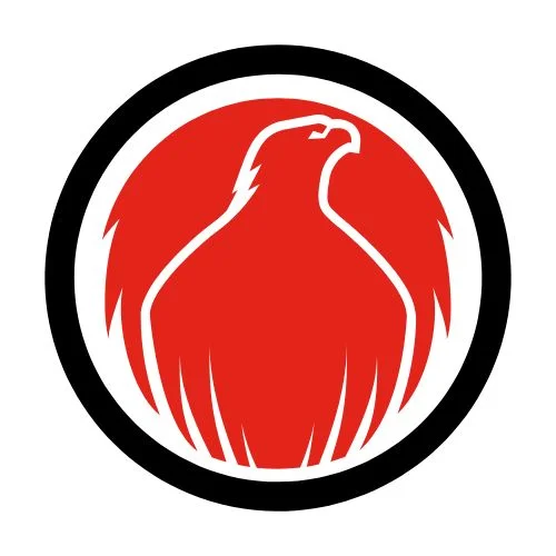 The Pheonix Logo - Rise, Recover, Live